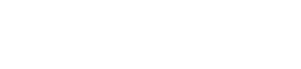 AQ Motors LLC